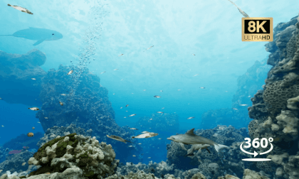 Undersea roaming Undersea roaming