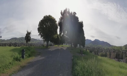 Qoocam Walk Test