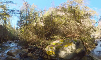 Standing in the Creek Standing in the Creek
