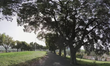 Park Ai resized to10k
