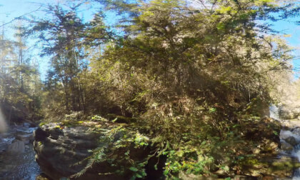 Standing in the Creek 2 VR Video Standing in the Creek 2 VR
