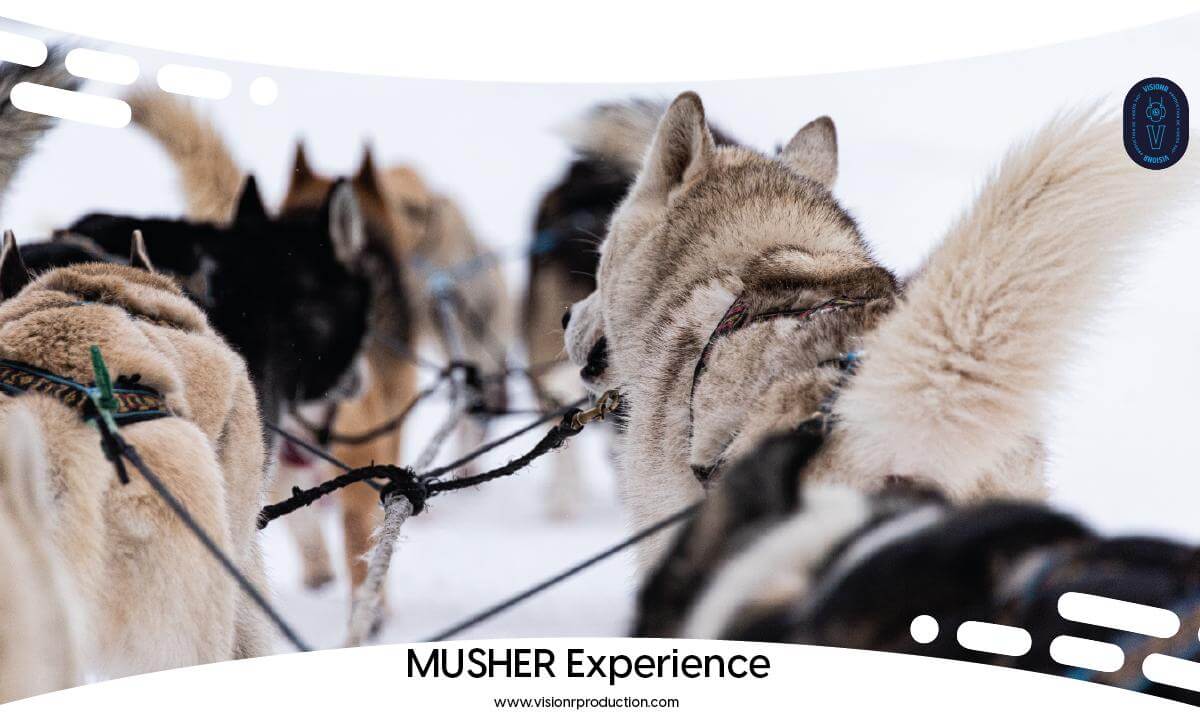 Musher Experience (Teaser) / 5K 360° Musher Experience (Teaser) / 5K 360°