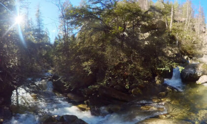 On a Rock in the Creek On a Rock in the Creek