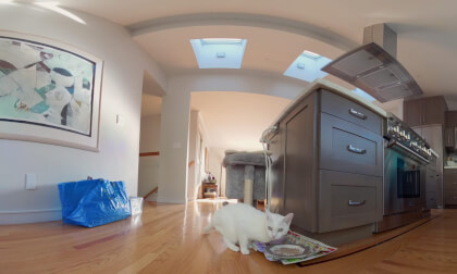 LULU Dancing & Eating – VR180 modded Qoocam 3 Ultra VR Video LULU Dancing & Eating – VR180 modded Qoocam 3 Ultra VR