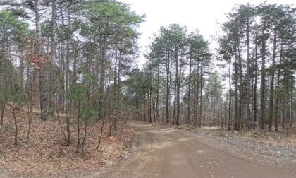 Biking to Bratan peak