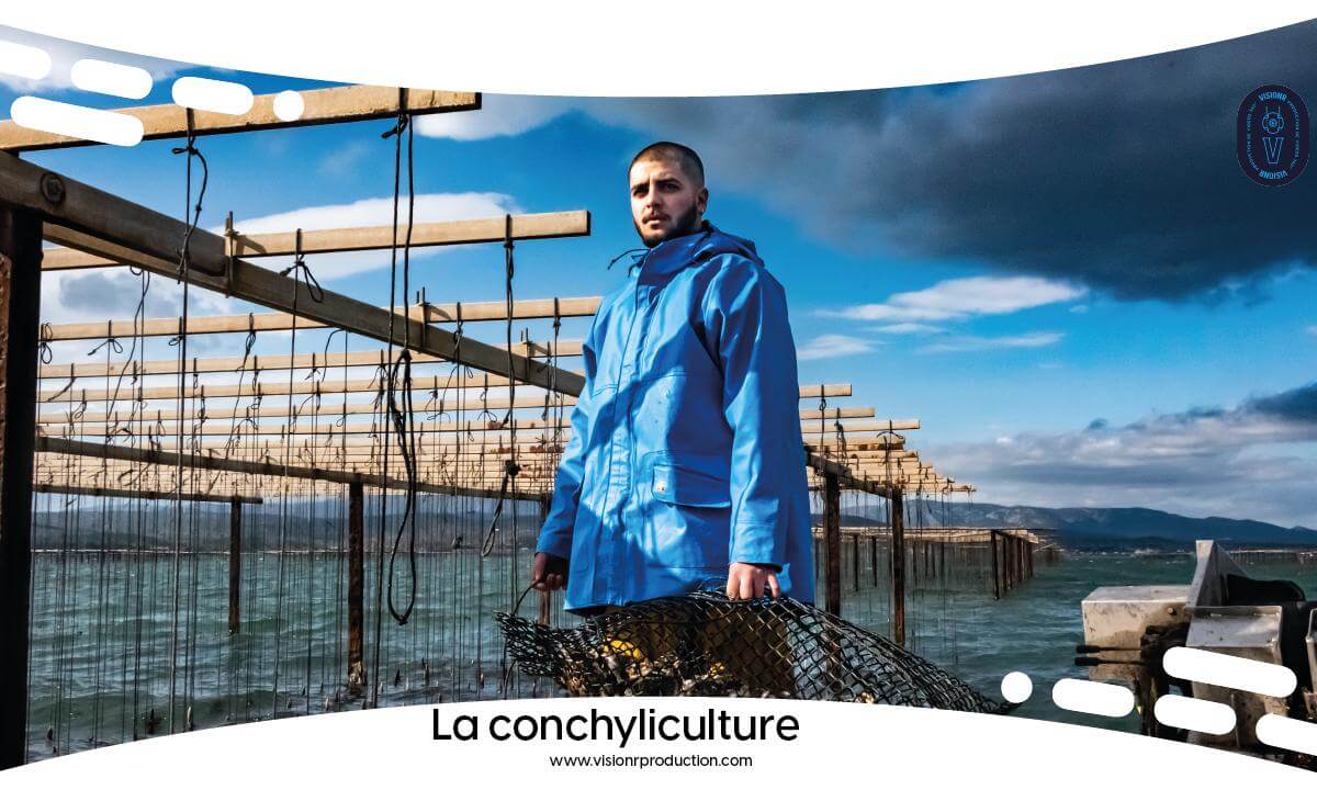 La Conchyliculture dans le sud de la France (Teaser)