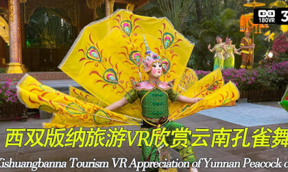 Traditional Dai Ethnic Peacock Dance Performance Traditional Dai Ethnic Peacock Dance Performance