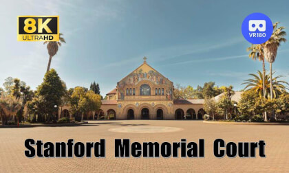 8K Stanford Memorial Court 8K Stanford Memorial Court