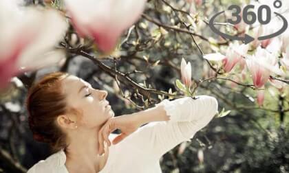 Spring is blooming