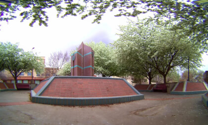 Fountain Tree Bloom VR Video Fountain Tree Bloom VR