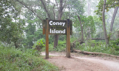 Coney Island Park, Singapore |🚴🏻♀️Leisure Cycling 🚴🏻♀️| VR Video Coney Island Park, Singapore |🚴🏻♀️Leisure Cycling 🚴🏻♀️| VR