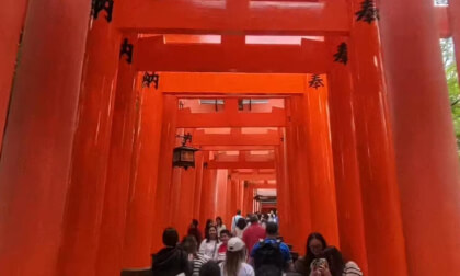 Japanese experience day 7 - Kyoto shrines, baloon volley, helloween VR Video Japanese experience day 7 - Kyoto shrines, baloon volley, helloween VR