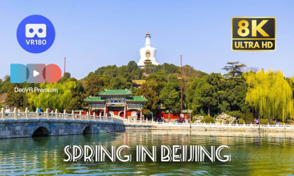 Experience the Beautiful Spring in Beijing 北京的春 | Travel China | 8K60P 3D 180 Experience the Beautiful Spring in Beijing 北京的春 | Travel China | 8K60P 3D 180