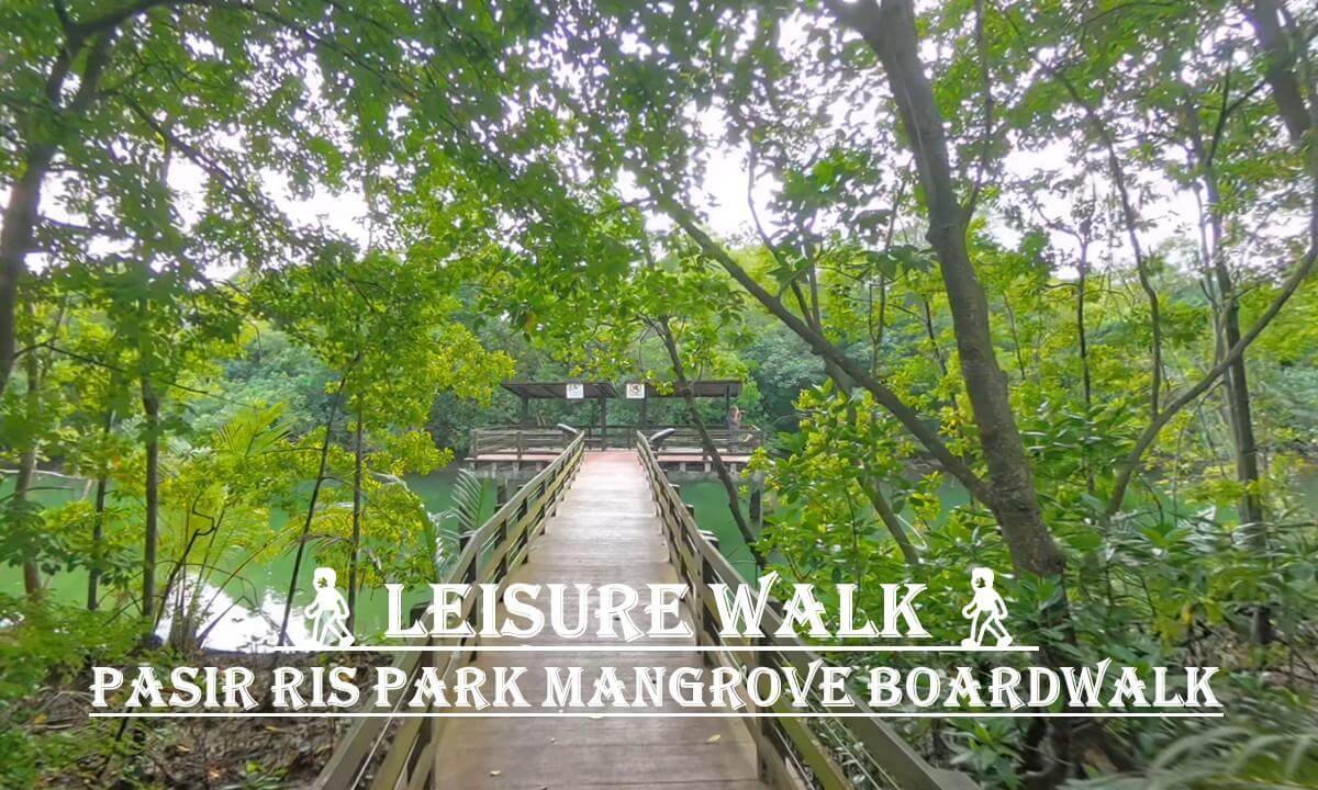 Pasir Ris Mangrove Boardwalk | 🚶Leisure Walking 🚶