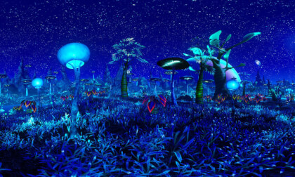 blue star 8K VR Video blue star 8K VR