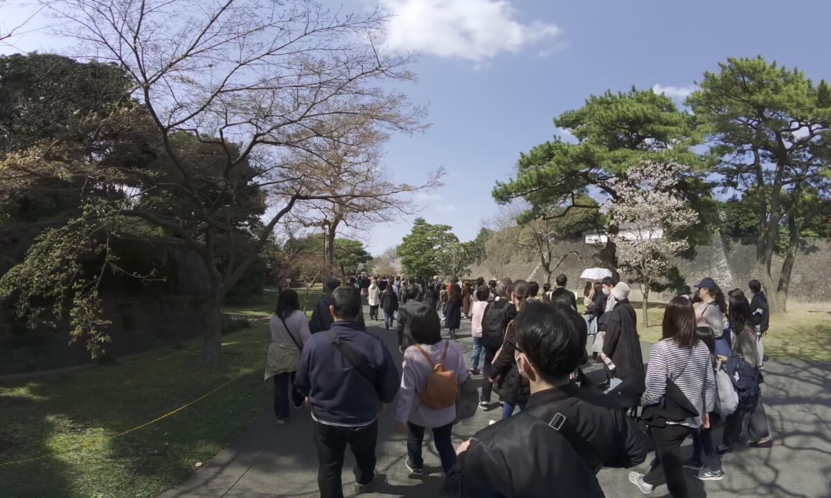 2025 Cherry Blossoms in Japan: A rare VR180 walk onto the Imperial Palace grounds for Hanami