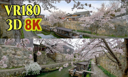 Cherry blossoms and traditional Japanese old townscape at Hachimann-bori in Ohmihachiman city, Japan VR Video Cherry blossoms and traditional Japanese old townscape at Hachimann-bori in Ohmihachiman city, Japan VR
