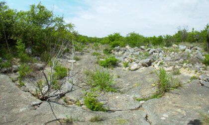 Step into the rugged beauty of Dry Gulch with this stunning 8K VR180° experience. Surrounded by vast brushland, rocky terrain, and the timeless charm of the Wild West, this immersive journey transports you to a place where nature and history meet. Perfect VR Video Step into the rugged beauty of Dry Gulch with this stunning 8K VR180° experience. Surrounded by vast brushland, rocky terrain, and the timeless charm of the Wild West, this immersive journey transports you to a place where nature and history meet. Perfect VR