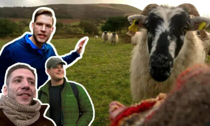 We Got Lost In Killarney National Park VR Video We Got Lost In Killarney National Park VR