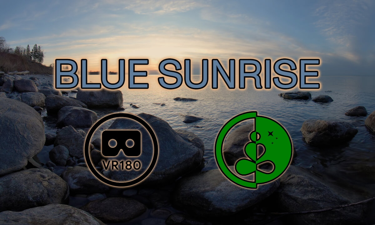 BLUE MORNING | VR180 | 8K | Nature Experience