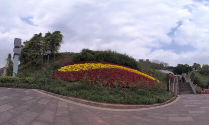 Viewing flowers in the park VR Video Viewing flowers in the park VR