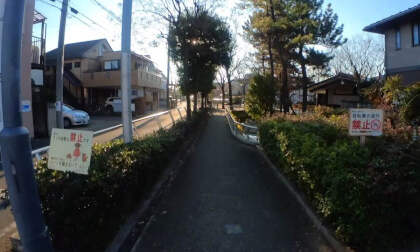 Video 朝ラン