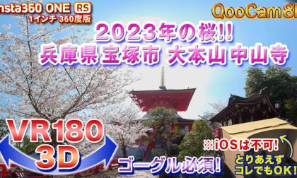 [VR180 3D] Cherry blossoms in 2023!! Takarazuka City Nakayama Temple
