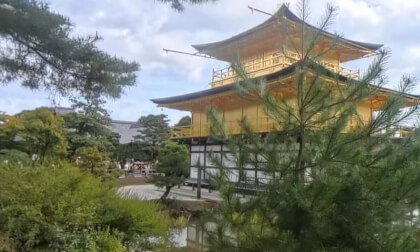 Japanese experience days 8-9 - Kyoto shrines, golden pavilion bamboo forest VR Video Japanese experience days 8-9 - Kyoto shrines, golden pavilion bamboo forest VR