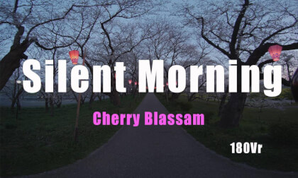 Silent Morning Silent Morning