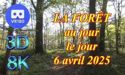 VR180 3D - 8K - ALLONNES - LA FORÊT au jour le jour - 6 avril 2025 VR Video VR180 3D - 8K - ALLONNES - LA FORÊT au jour le jour - 6 avril 2025 VR
