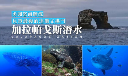 The Last Arco de Darwin:Galapagos diving The Last Arco de Darwin:Galapagos diving