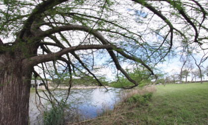8K VR 180° | Shaded Riverbank Retreat – Peaceful Nature Under the Tree VR Video 8K VR 180° | Shaded Riverbank Retreat – Peaceful Nature Under the Tree VR