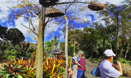 Pandora Floating Islands in Animal Kingdom Disney 360VR 8K Topaz VR Video Pandora Floating Islands in Animal Kingdom Disney 360VR 8K Topaz VR