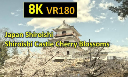 Japan Shiroishi  Castle Cherry Blossoms VR Video Japan Shiroishi  Castle Cherry Blossoms VR