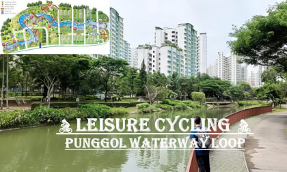 Punggol Waterway Loop | 🚴🏻♀️Leisure Cycling 🚴🏻♀️ | VR Video Punggol Waterway Loop | 🚴🏻♀️Leisure Cycling 🚴🏻♀️ | VR