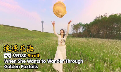 【VR180】When She Wants to Wander Through Golden Foxtails 🌾 A Couple's Magical Field Date VR Video 【VR180】When She Wants to Wander Through Golden Foxtails 🌾 A Couple's Magical Field Date VR