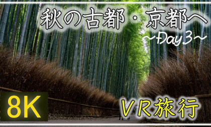 秋の古都・京都へ ~Day.3~ 【 Japan Trip 】龍安寺・仁和寺・等持院・竹林の小径 VR Video 秋の古都・京都へ ~Day.3~ 【 Japan Trip 】龍安寺・仁和寺・等持院・竹林の小径 VR