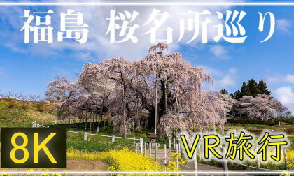 福島の桜名所巡り【 Japan Trip 】三春滝桜・合戦場・霞ヶ城・大内宿・南湖神社 VR Video 福島の桜名所巡り【 Japan Trip 】三春滝桜・合戦場・霞ヶ城・大内宿・南湖神社 VR
