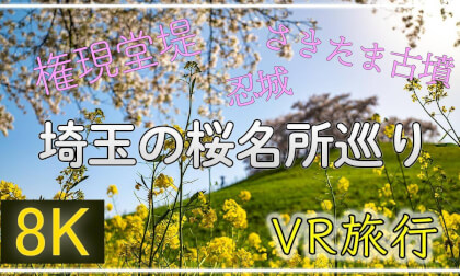 さいたまの桜名所巡り【 Japan Trip 】権現堂堤・さきたま古墳群・忍城 VR Video さいたまの桜名所巡り【 Japan Trip 】権現堂堤・さきたま古墳群・忍城 VR