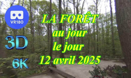 VR180 3D - 6K 50 ips - LA FORÊT au jour le jour - 12 avril 2025 VR Video VR180 3D - 6K 50 ips - LA FORÊT au jour le jour - 12 avril 2025 VR