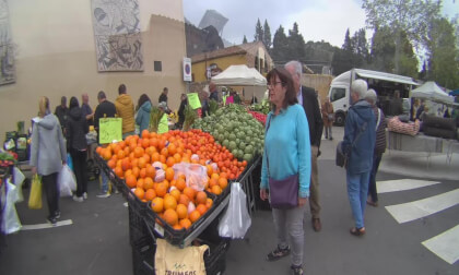 Mercadal de Collbato (Barcelona)
