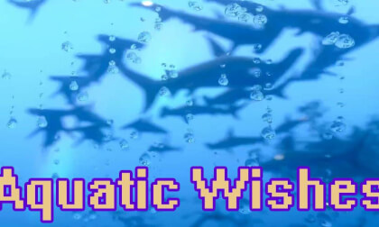 Aquatic Wishes - VRChat World Walkthrough