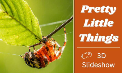 Pretty Little Things - 3D Slideshow VR Video Pretty Little Things - 3D Slideshow VR
