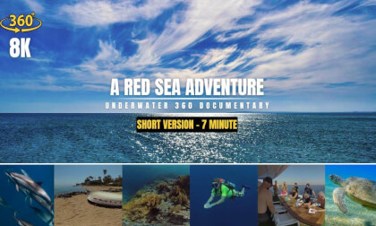 A Red sea adventure 360 / 8K / VR / 7 minute version VR Video A Red sea adventure 360 / 8K / VR / 7 minute version VR