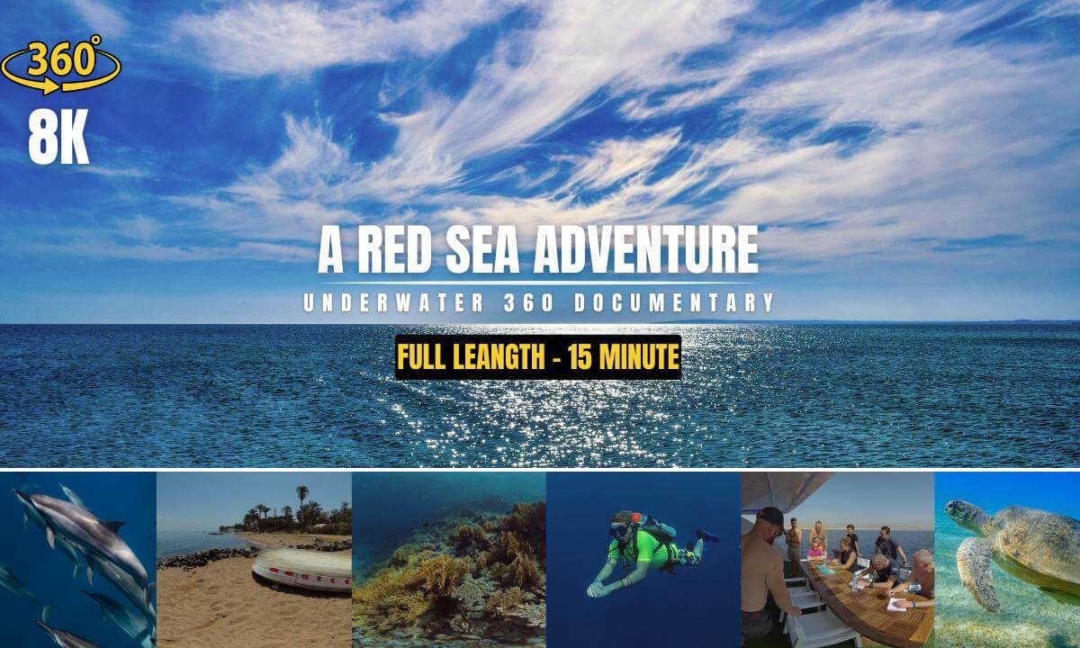 A Red sea Adventure 360 / 8K / VR / 15 minute (Full length)