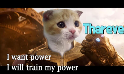 CAT 360 VR] Power! But I'm verevere