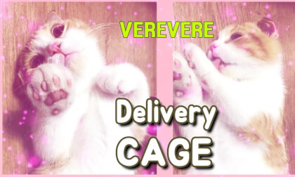 CAT VR] cage! But I'm verevere