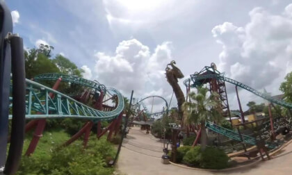 Cobras Curse at Busch Gardens Tampa FLorida. 360° video with my buddy!! VR Video Cobras Curse at Busch Gardens Tampa FLorida. 360° video with my buddy!! VR