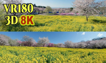 Akagi Nanmen Senbonzakura, a spectacular view of cherry blossoms and spring flowers in Gunnma,JAPAN VR Video Akagi Nanmen Senbonzakura, a spectacular view of cherry blossoms and spring flowers in Gunnma,JAPAN VR