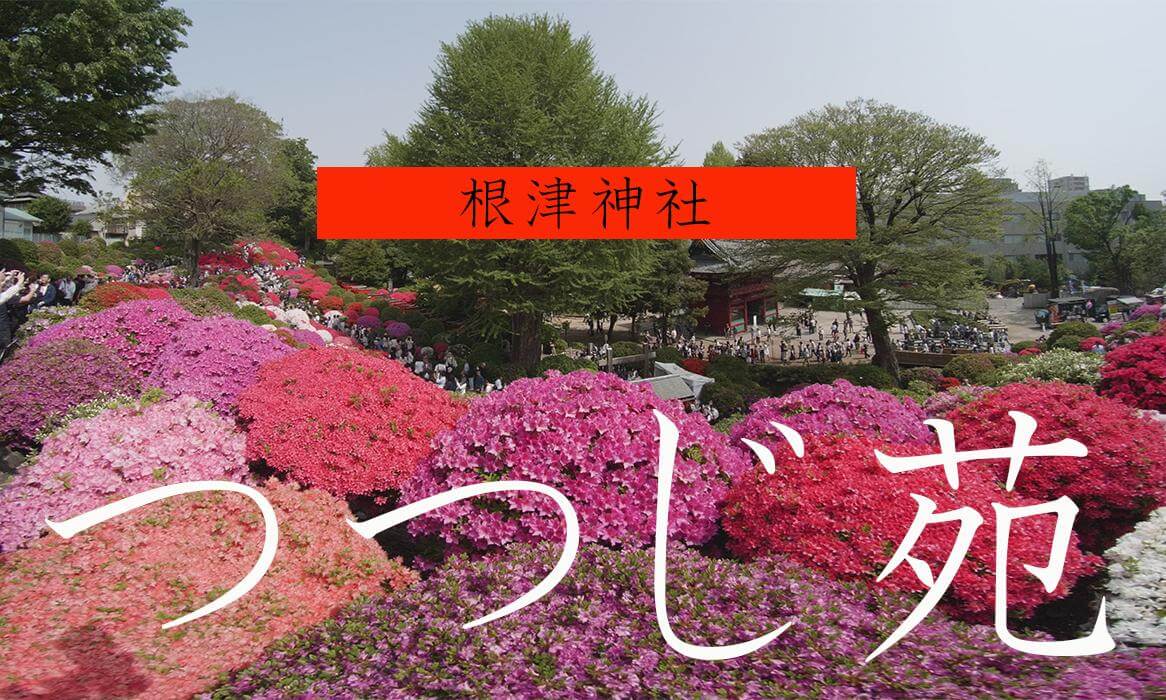 Nezu Shrine's Azalea Festival